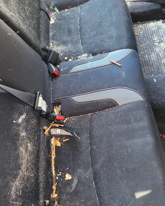 a bench seat before detailing